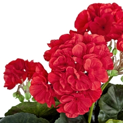 Planta artificial flores geranios rojos en lallimonacom detalle2