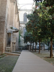 Catedral de sevilla