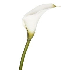 Flor artificial cala pequea blanca en lallimona.com