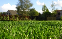 Xfgreen nos dedicamos a la venta e instalacion de cesped artificial, en girona, catalunya