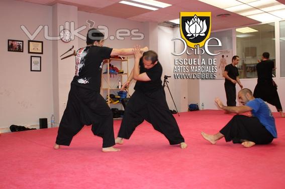 Artes marciales Madrid