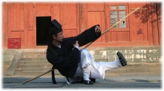 Clases de kung-fu madrid- wushu kung fu adultos