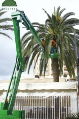 Poda con plataforma elevadora