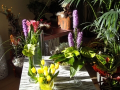 Mara martnez floristas valladolid - foto 4