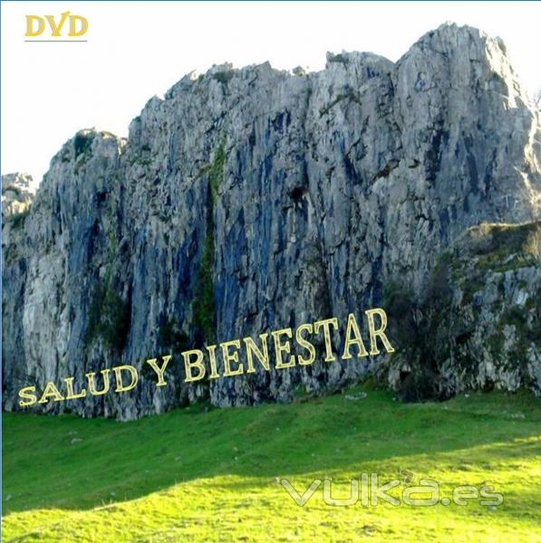 TIENE A SU DISPOSICION EL DVD DE SALUD Y BIENESTAR