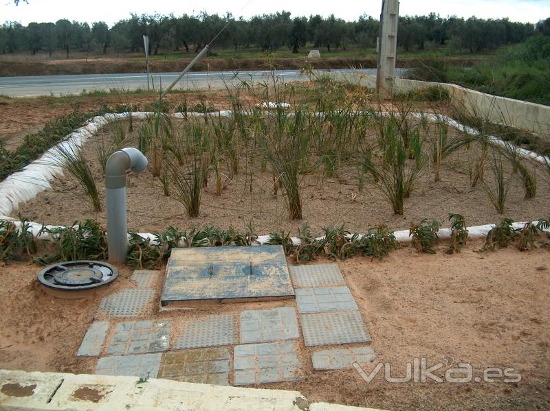 Primera instalacin de evapotranspiracin realizada en Espaa por nuestra empresa, en Almensilla.