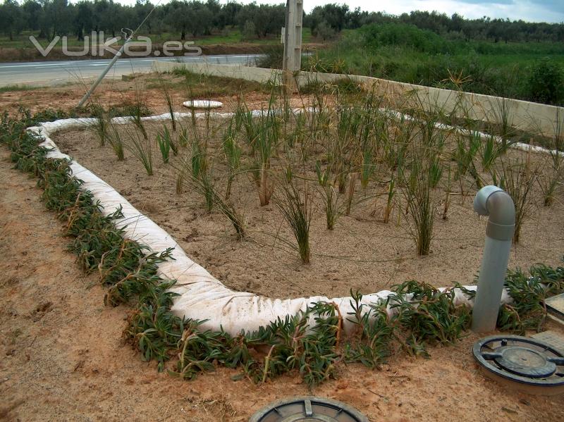 Primera instalacin de evapotranspiracin realizada en Espaa por nuestra empresa, en Almensilla.