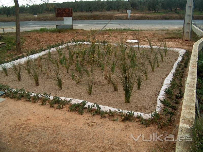 Primera instalacin de evapotranspiracin realizada en Espaa por nuestra empresa, en Almensilla.