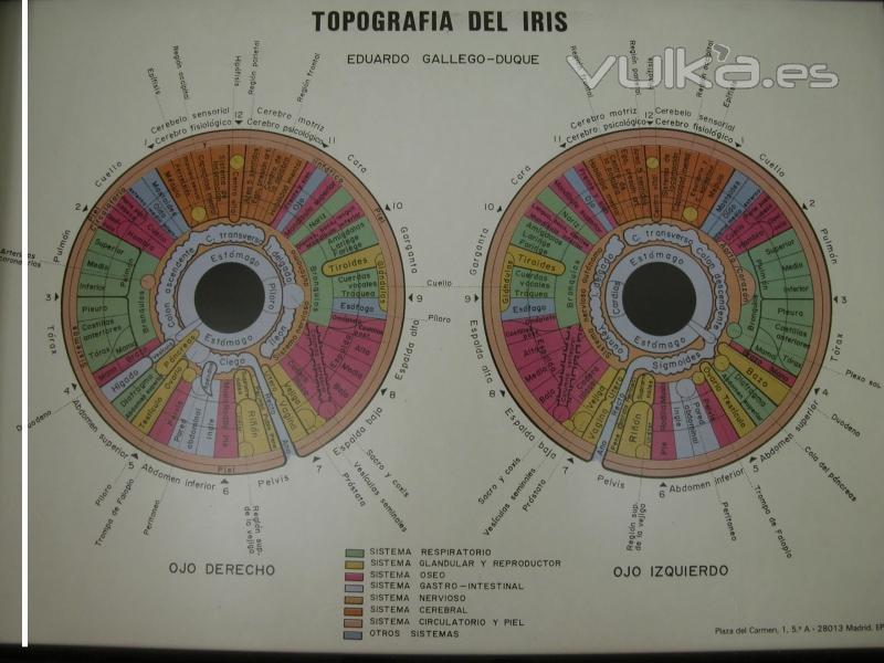 Mapa iridolgic