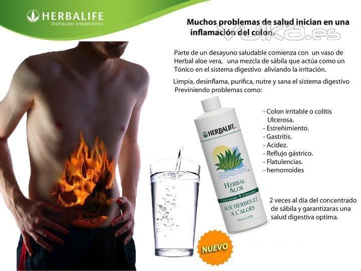 Herbalife Alicante