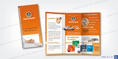 Folleto alarmas cymes