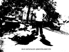 Max Gonzlez adiestramiento canino.