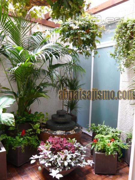 jardin interior con fuente