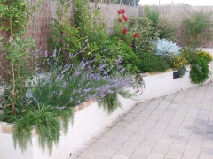 Jardinera