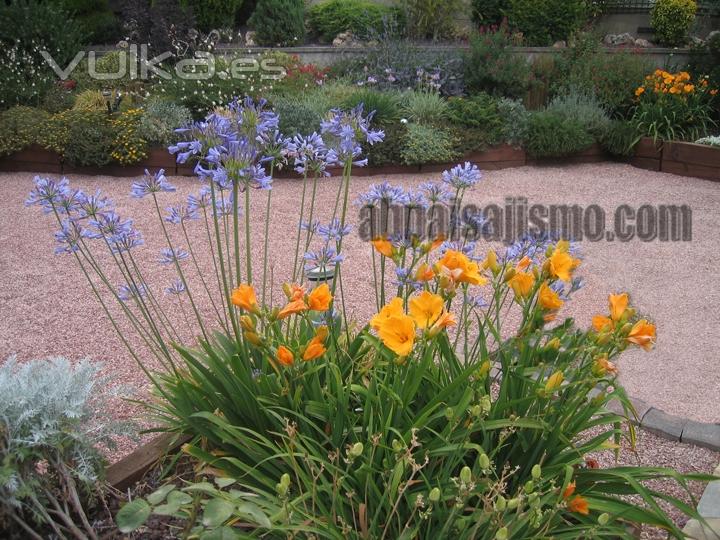 jardin sostenible y rocalla