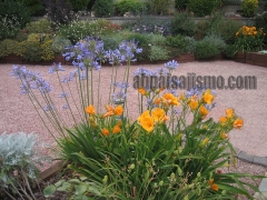 Jardin sostenible y rocalla