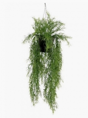 Plantas de plastico colgante plastico springeri con maceta oasisdecorcom
