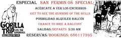 Fiestas de San Fermin