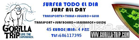 Surftrips