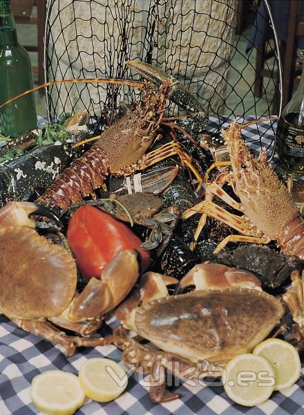 Mariscos especialidad Casa Sen