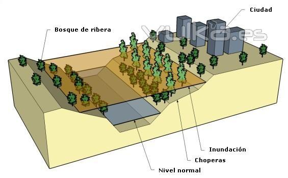 Estudios de Inundabilidad y de Riesgos Naturales.www.exitgeoconsult.com