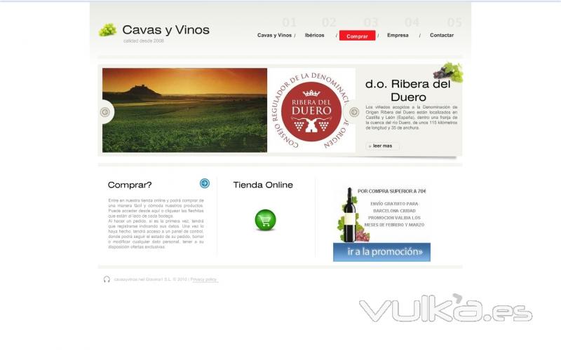 www.cavasyvinos.net