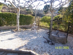 Vista de el jardin con arboles