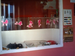 Zona peluqueria y estetica