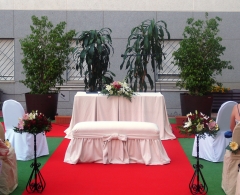 Vertice bodas