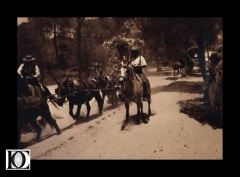 Imagenes de el rocio