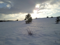 La nieve forma parte de nuestro entorno durante unas semanas