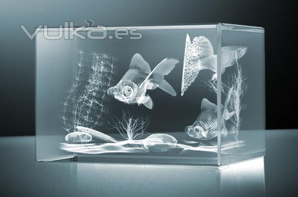 Cristal 3D grabado con laser.