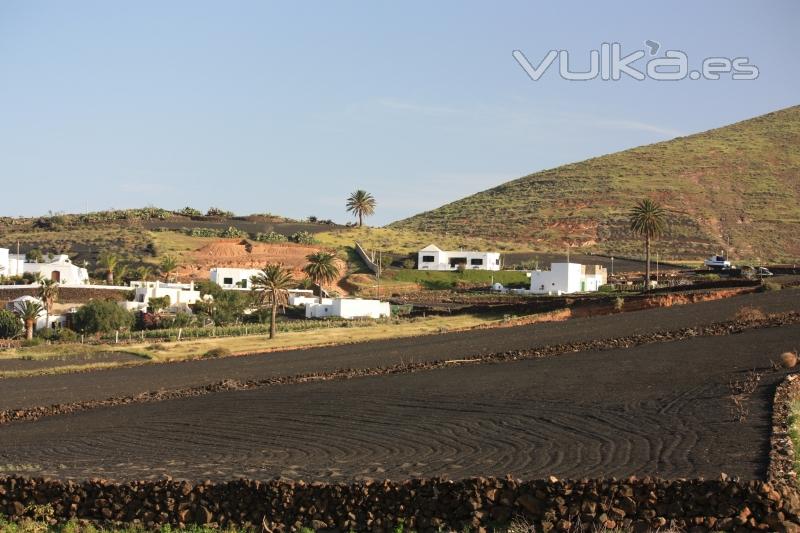 Mundo Mascota - Tabayesco (Lanzarote) 