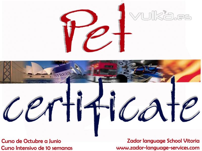 Curso de preparacin de Pet Certificate en Vitoria-Gasteiz