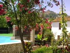 Piscina , casa limon y al fondo el castilla