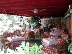 Foto 163 restaurantes en Islas Baleares - El Salmon