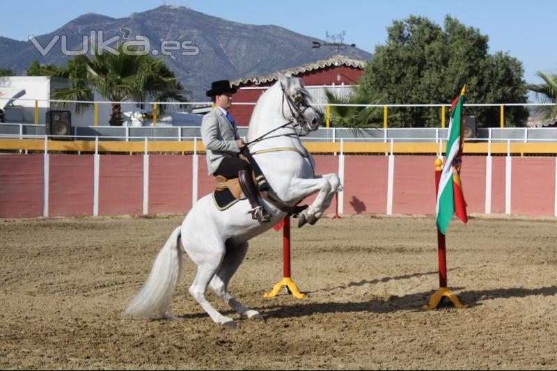 Salvador Sanchez, Subcampeon de Espaa de Alta Escuela