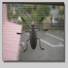 Amplia gama de mosquiteras confeccionadas a medida 