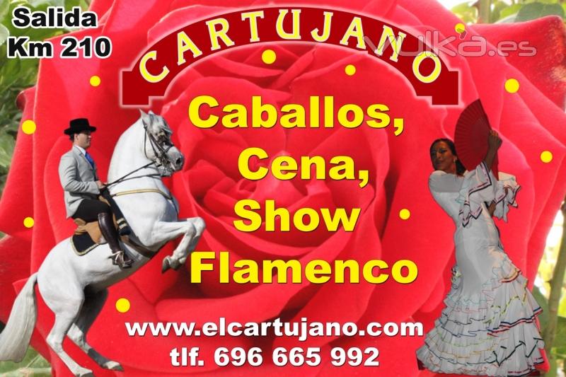 Show flamenco y cena en el Cartujano