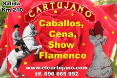 Show flamenco y cena en el Cartujano