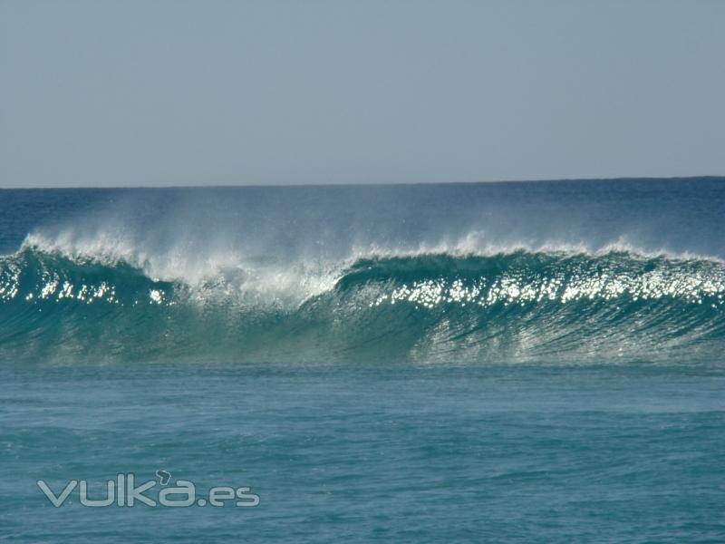 Perfeccion; agua caliente,cristalina y solos en el agua