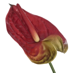 Flor artificial anthurium cereza 65 en lallimonacom