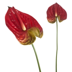 Flor artificial anthurium cereza 65 en lallimonacom detalle1