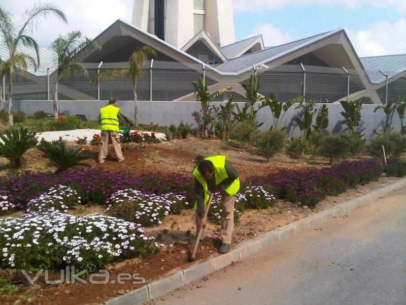 Trabajos en el Aeropuerto de Mlaga. Zona Vip T3.