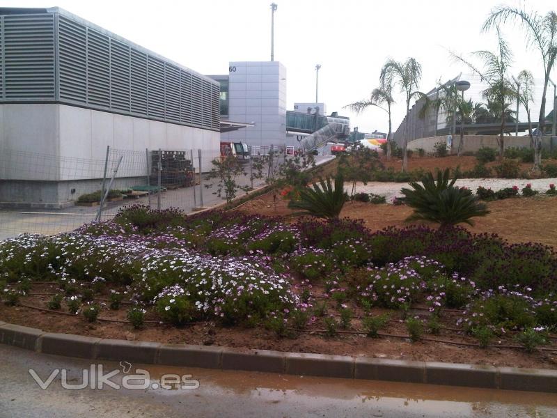 Aeropuerto de Mlaga. Trabajos frente a zona Vip T3.