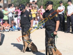 Foto 23 vigilante de seguridad en Alicante - Inopol