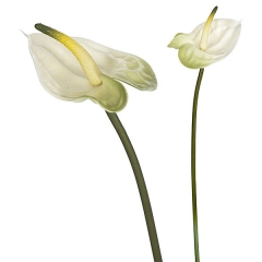 Flor artificial anthurium blanco 40 en lallimona.com detalle1