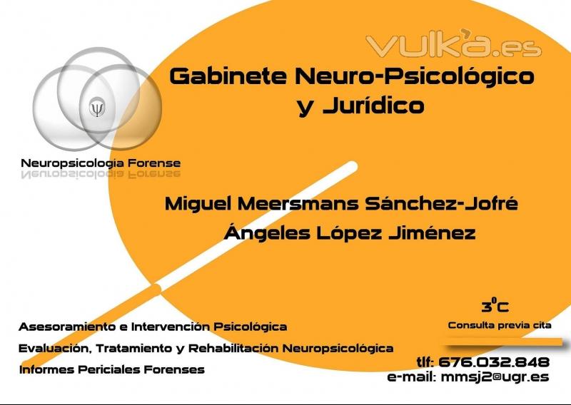 psicologo granada psicologia pericial forense neuropsicologia psicologico