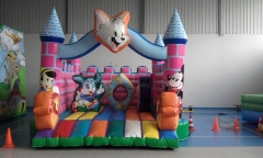 Castillo disney