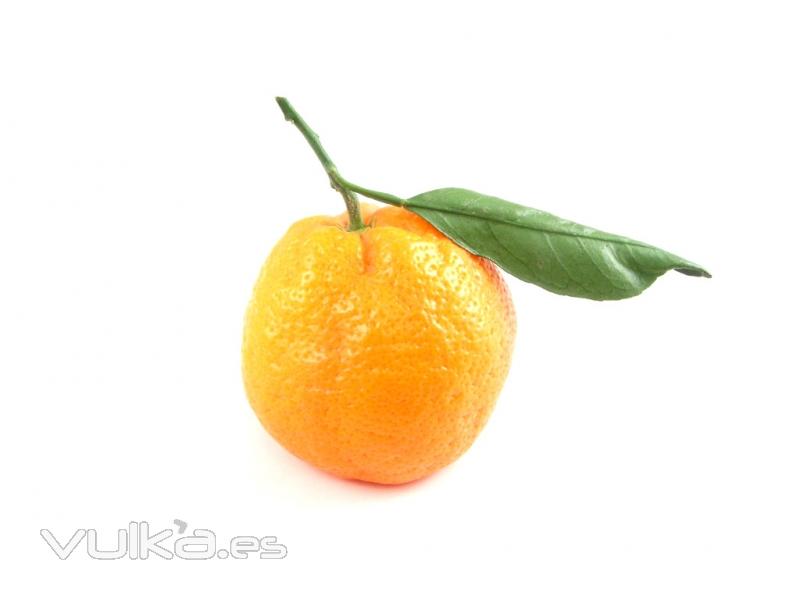 Mandarina: NFC, concentrado, orgnico, aceite esencial, pulpa